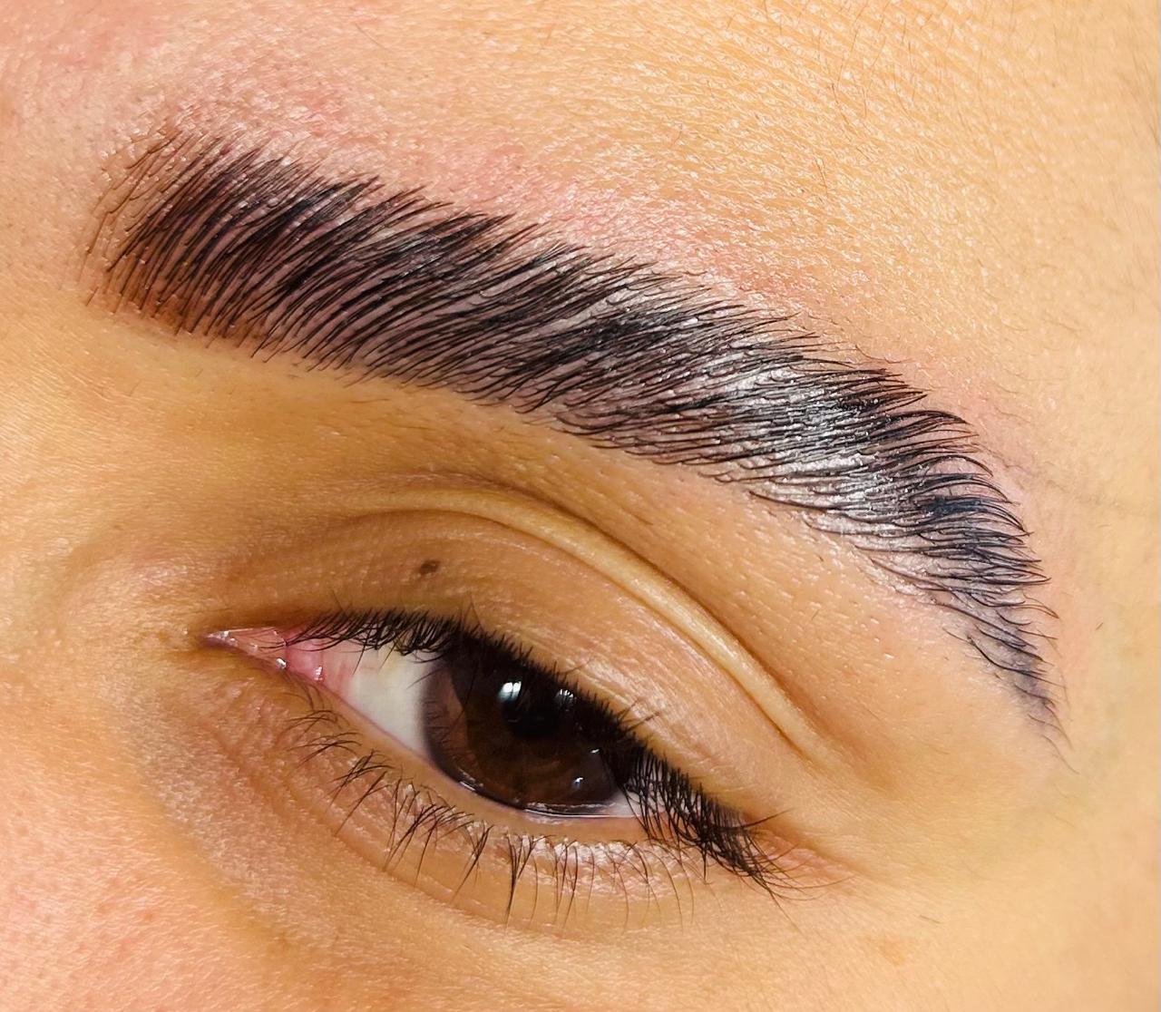 Resultado de Brow Lamination